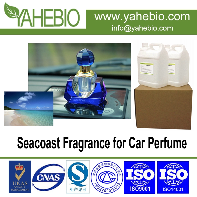 Seacoast geur voor auto parfum