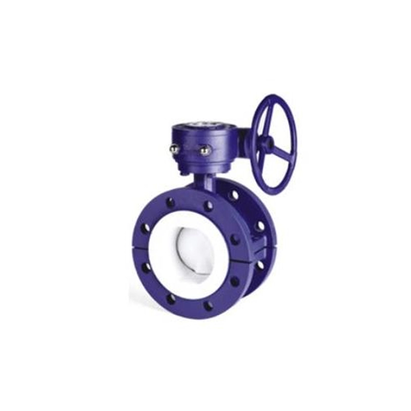 PTFE-type Ductile Iron Cast Iron Rvs Wafer Butterfly Valve