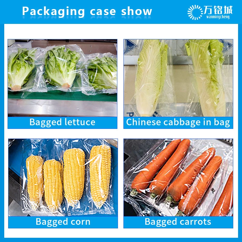 Multifunctionele kussentype verse groenteverpakkingsmachine