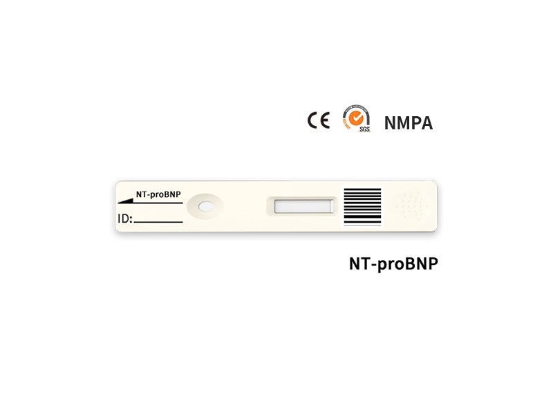NT-proBNP snelle kwantitatieve test