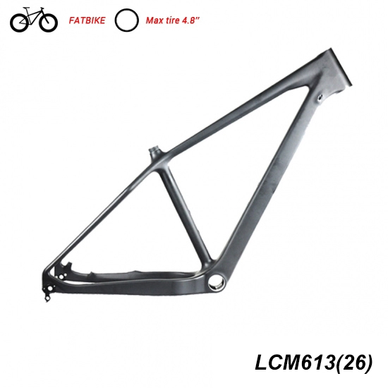 Lightcarbon full carbon 26 fatbike frameset met carbon vork