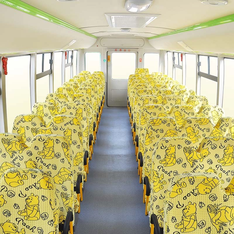 Ankai 10M 24-56 zitplaatsen schoolbus