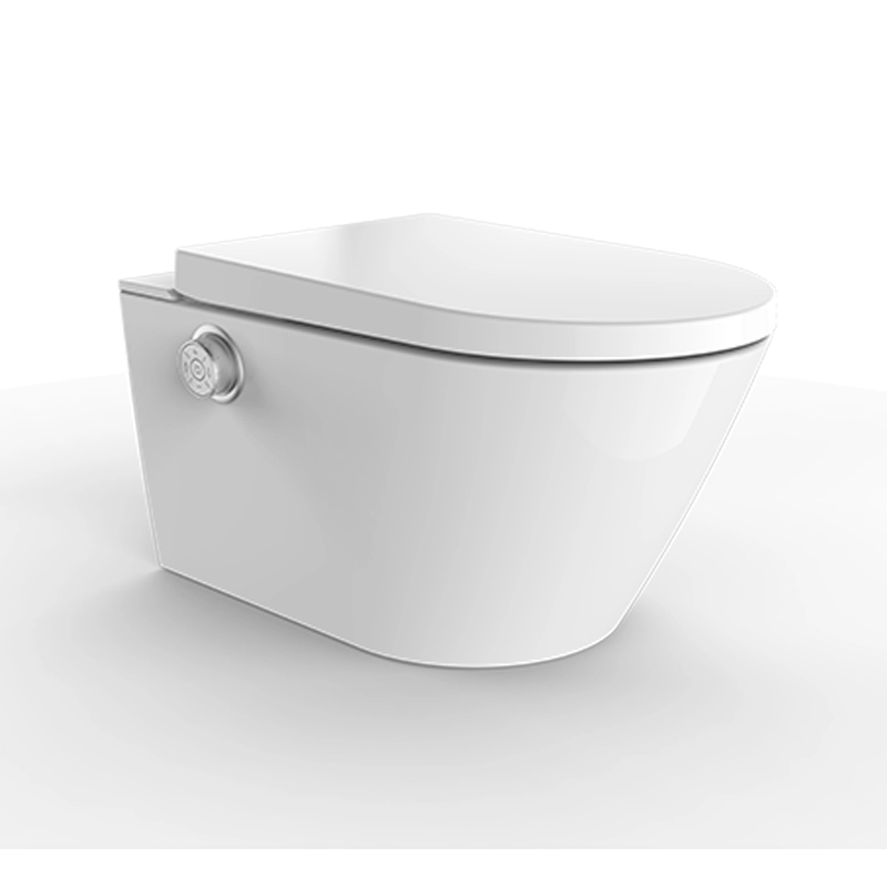 Intelligente douche-wc-installatie met wit kastreservoir