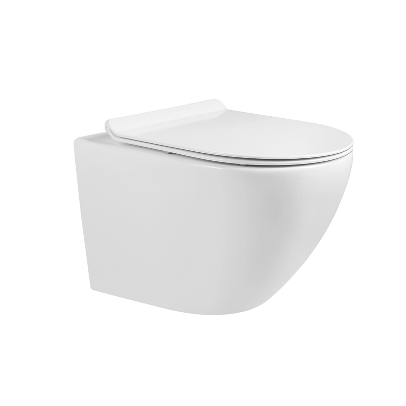 Modern design wit keramisch wandgemonteerd toilet