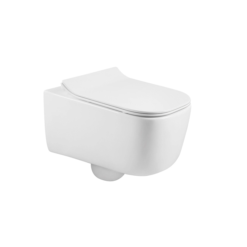 Modern design D-vorm wit wandgemonteerd toilet