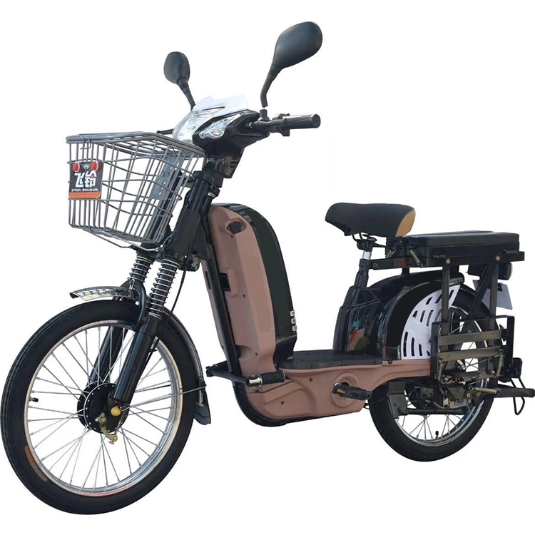 48V 350w 450W Afhaalmaaltijden Elektrische Fiets Fast Food Delivery E-bike