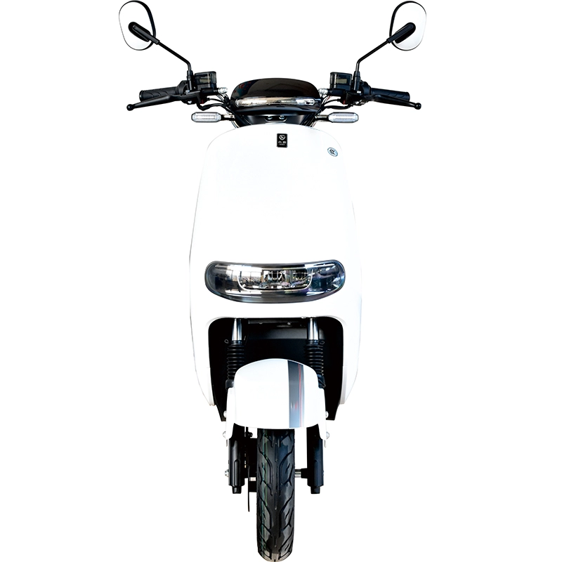 2000w tweewielige volwassen elektrische motorfietsscooter