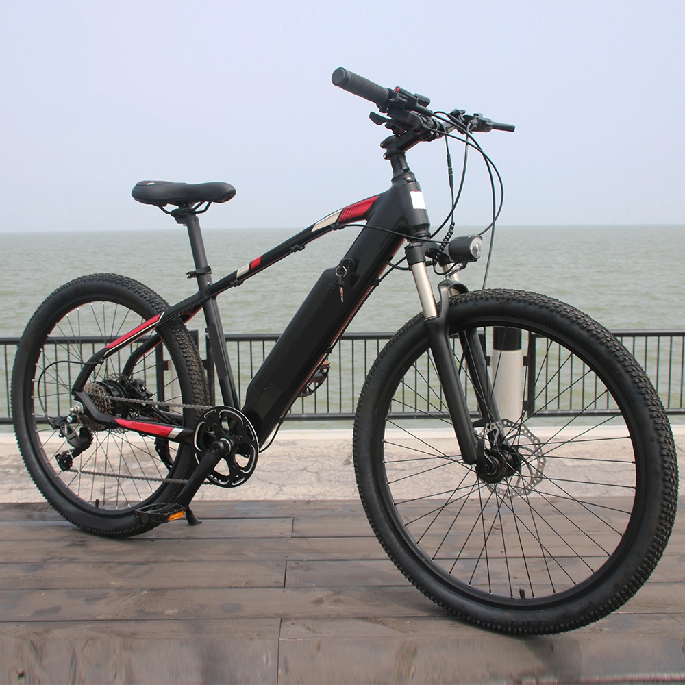 36V 48V 250W trapondersteuning e power batterij cyclus man 350W elektrische fiets 750W volwassenen ebike beste elektrische mountainbike te koop
