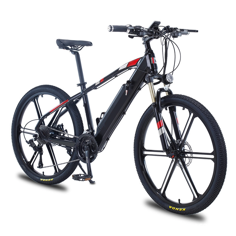 36V 48V 250W trapondersteuning e power batterij cyclus man 350W elektrische fiets 750W volwassenen ebike beste elektrische mountainbike te koop