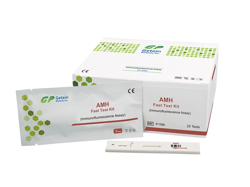 AMH Fast Test Kit (Immunofluorescentie Assay)