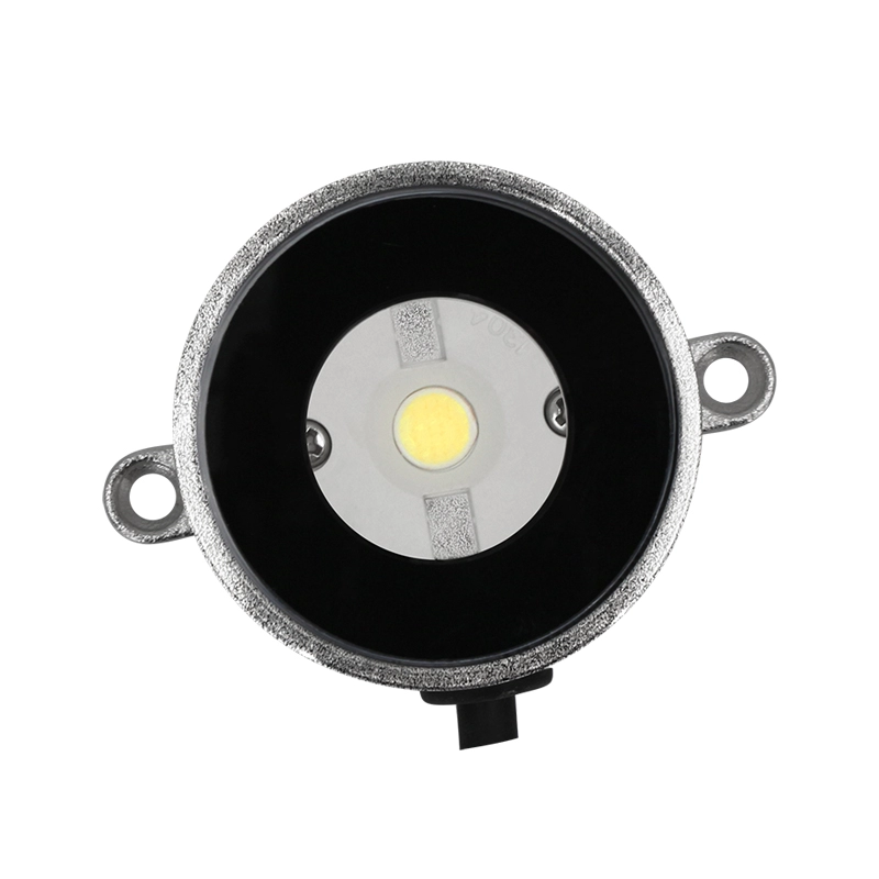 Buiten 9W 316L roestvrij staal IP68 Marine 12V24V LED zwembadverlichting