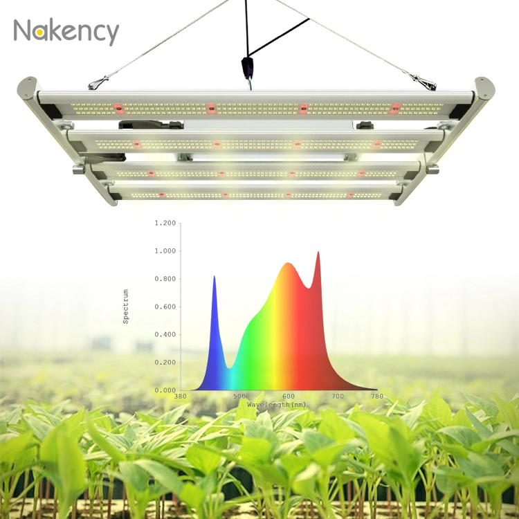 800w opvouwbaar led-groeilicht met volledig spectrum voor medicinale plant