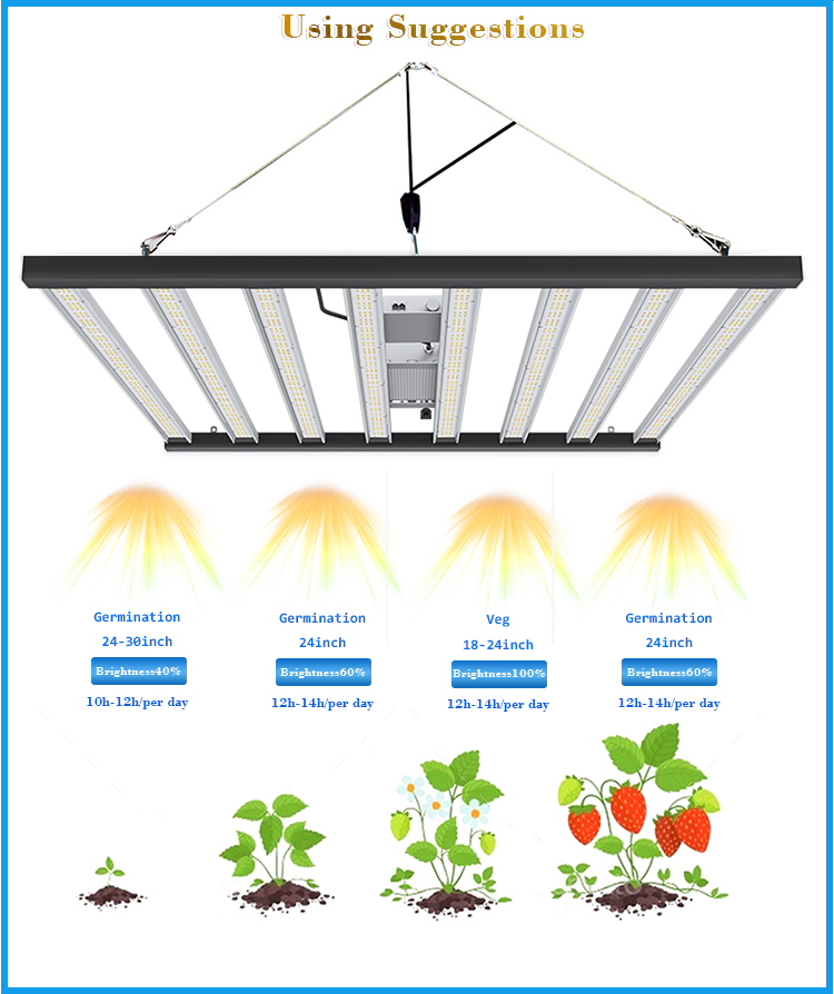 2021 best detchable LED plant light for canabis