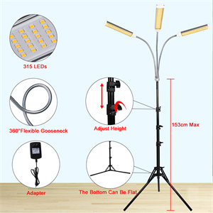 the feature of plant light