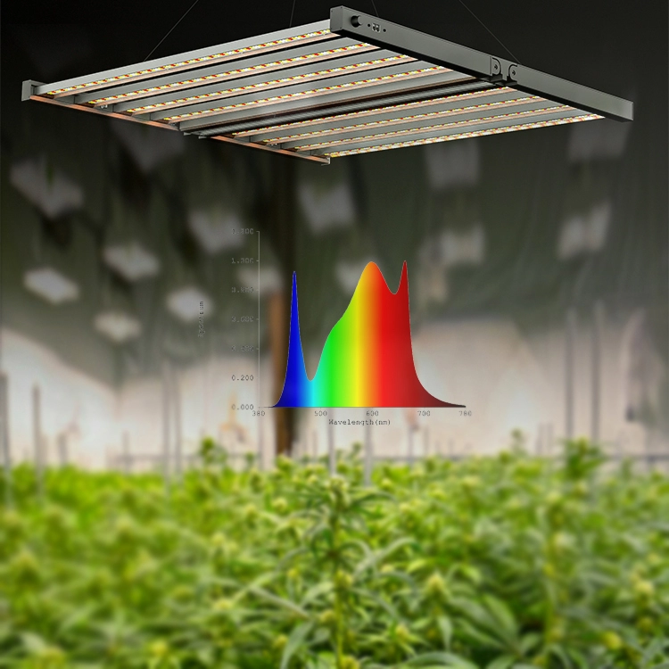 800w cannabis groeiende kamerplanten led kweeklamp