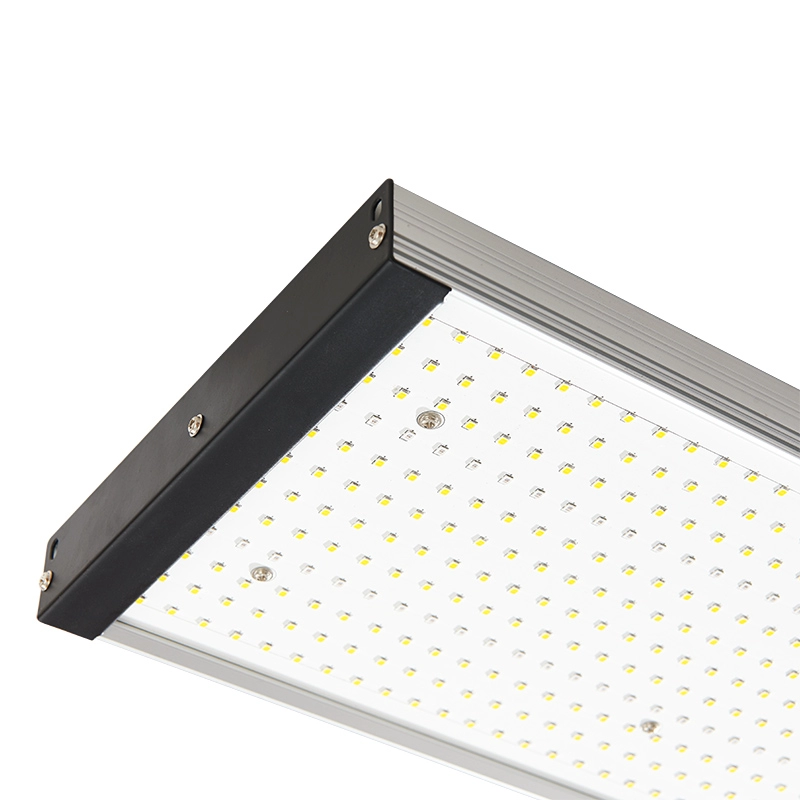 Nieuwe Hydroponic 300w Led Grow Lights Vervanging Volledig spectrum voor kamerplanten