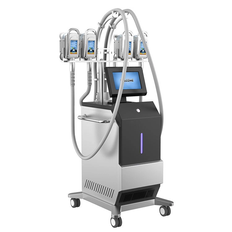 4 handvatten 360 graden cryotherapie kamer gewichtsverlies cellulitis verwijdering cryolipolisis lichaam afslanken riem cryolipolyse vet bevriezing 360 cryo machine