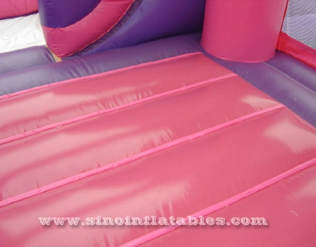 6x5m kinderfeestje opblaasbaar prinses springkasteel met glijbaan van Sino Inflatables