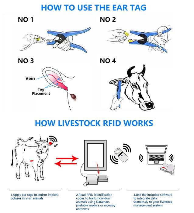 RFID-oormerken voor vee