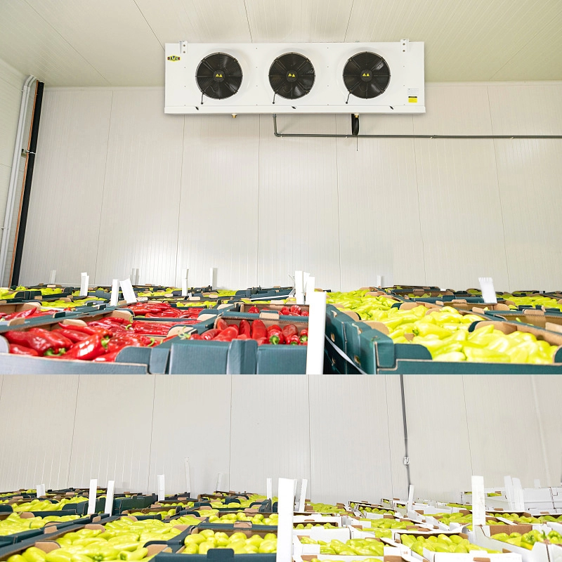 Groenten Fruit koelopslag Verdamper Unitkoeler 9,18KW