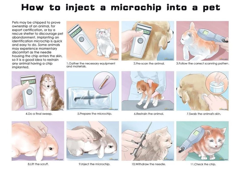 Injecteer RFID-microchiptags in huisdier