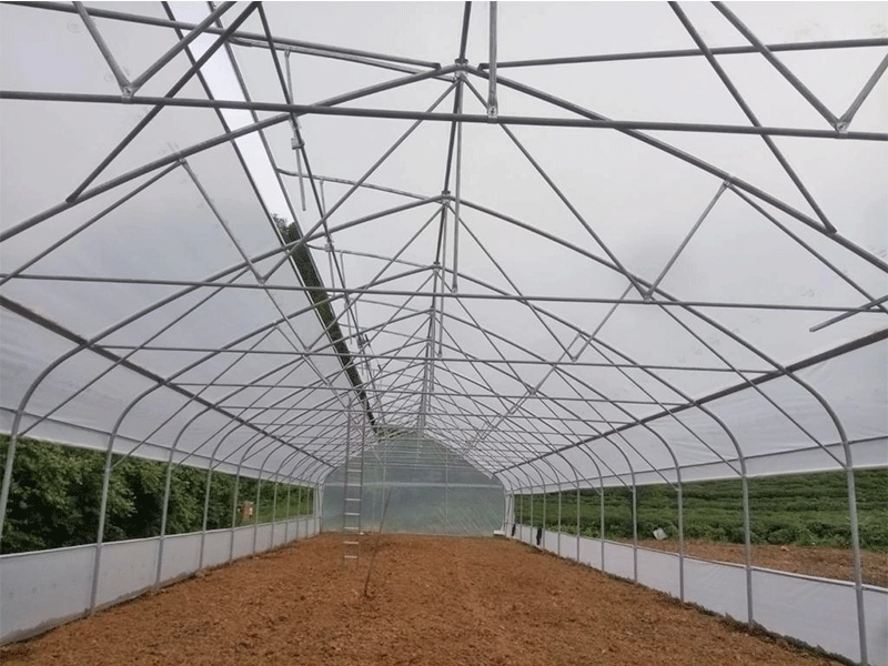 Filmkassen met meerdere overspanningen voor het planten van groenten