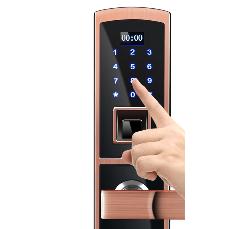 Biometrisch vingerafdrukdeurslot
